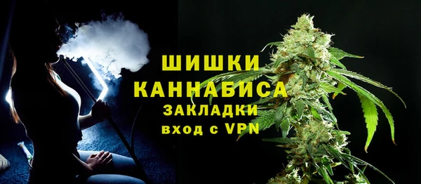 молекула духа Горняк