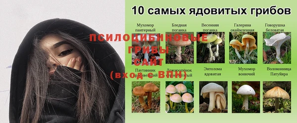 mix Гусиноозёрск