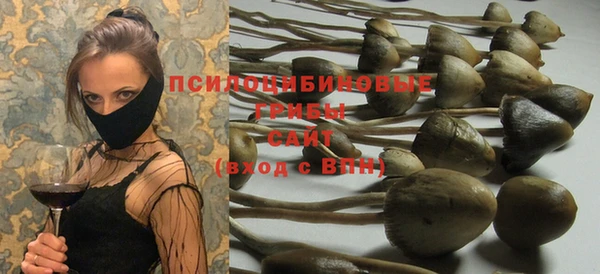 молекула духа Горняк