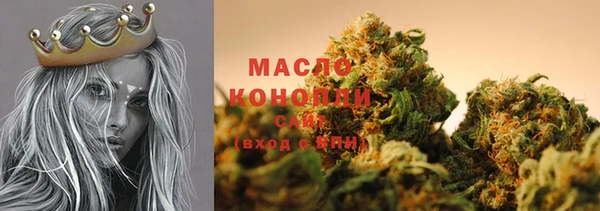 молекула духа Горняк