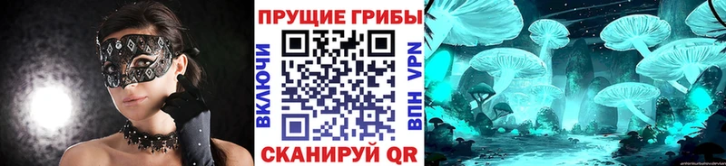 Псилоцибиновые грибы ЛСД  закладка  Жердевка 