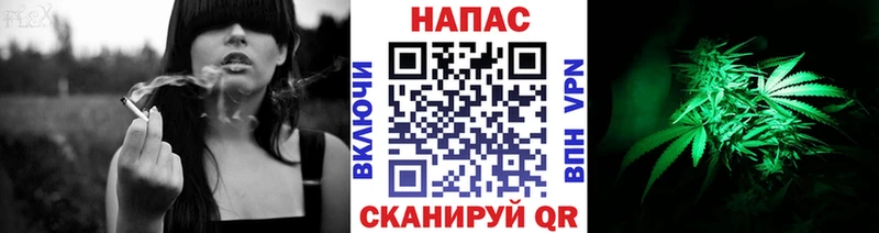 Конопля семена  Жердевка 
